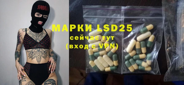 прущие грибы Алексеевка