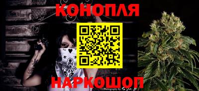 стафф Лесосибирск