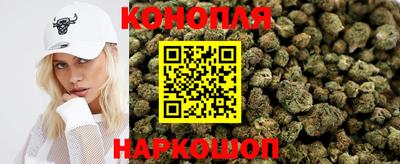 стафф Лесосибирск